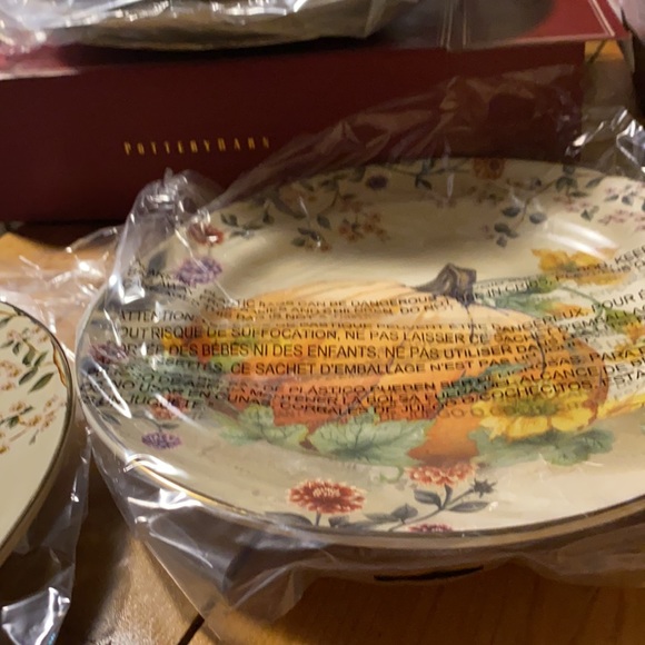 Pottery Barn Botanical Harvest Pumpkin Stoneware Set of Four Salad plates - Picture 14 of 16